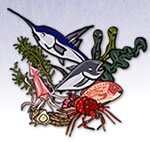 ���������A�V�N�I